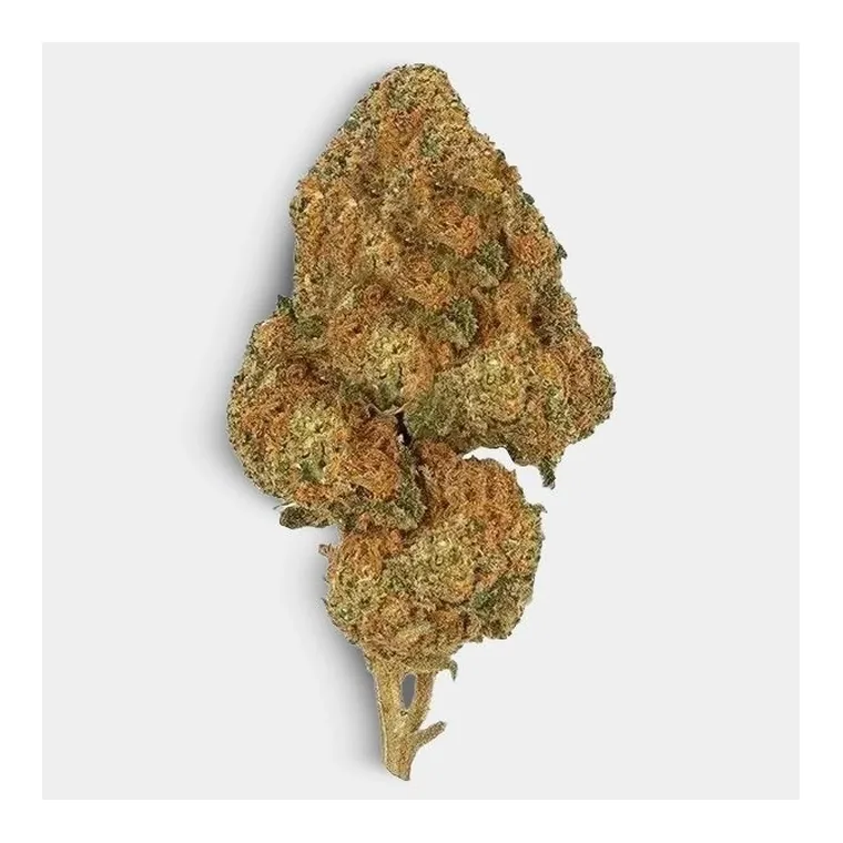 Freeze Kit de GB CBD en GB Lleida