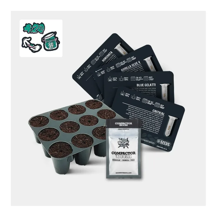 GB Seeds Box Auto de GB Seeds en GB Lleida
