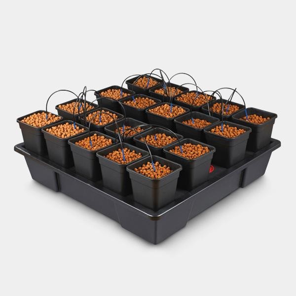 Wilma XXL 20 completo 6L