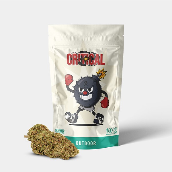 Flores CBD GB Outdoor 'Critical +' · Flores CBD: más variedades y formatos en GB Lleida (Lleida)
