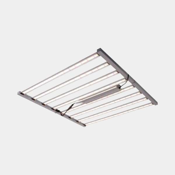 LED Spider King 1000 W