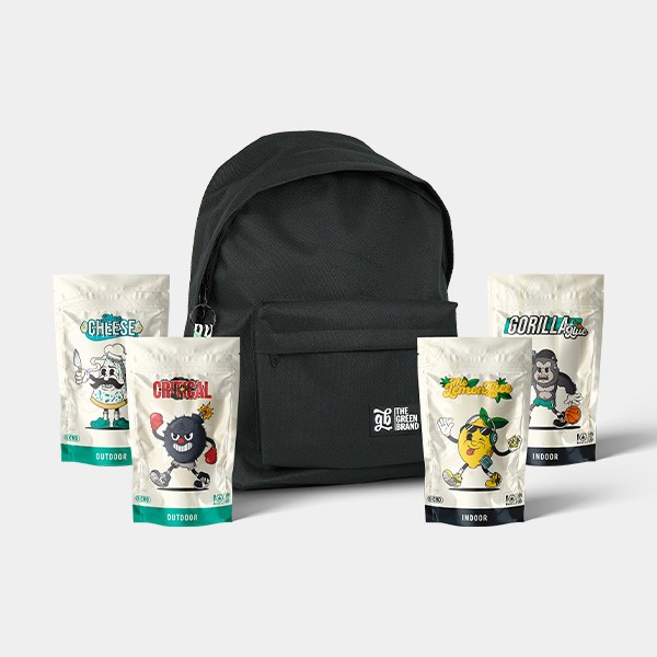 Kit CBD GB 100g