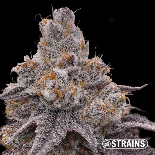 Dulce de Uva