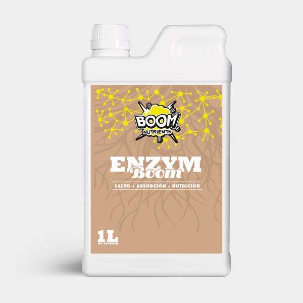 Enzym Boom de  en GB Lleida