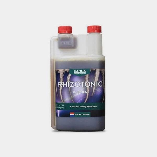 Rhizotonic de Canna en GB Lleida
