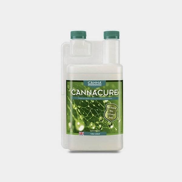 Canna Cure de Canna en GB Lleida