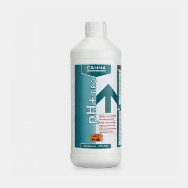 Ph+ de Canna en GB Lleida