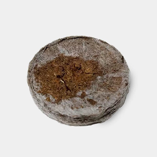 Jiffy7 de turba 41-44mm de  en GB Lleida