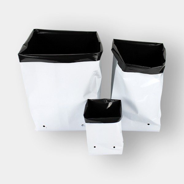 Bolsas de Cultivo Blancas de  en GB Lleida