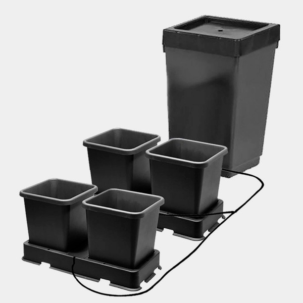 AutoPot