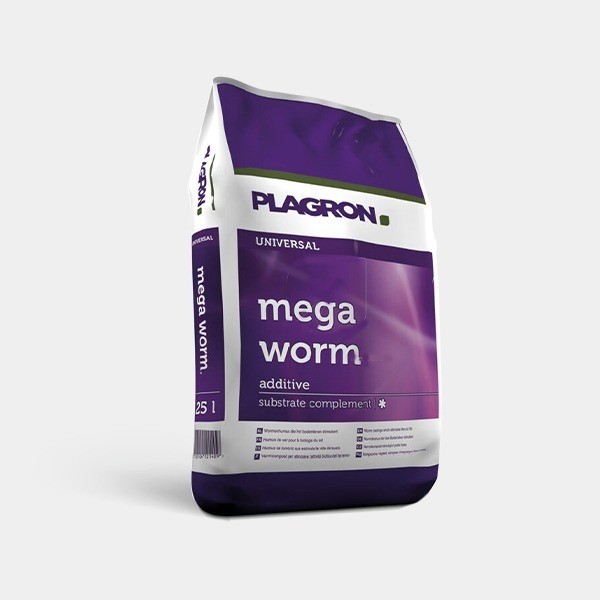 Mega Worm de  en GB Lleida