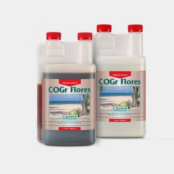 COGr Flores A+B coco de Canna en GB Lleida