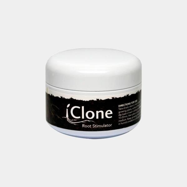 iClone Gel de  en GB Lleida