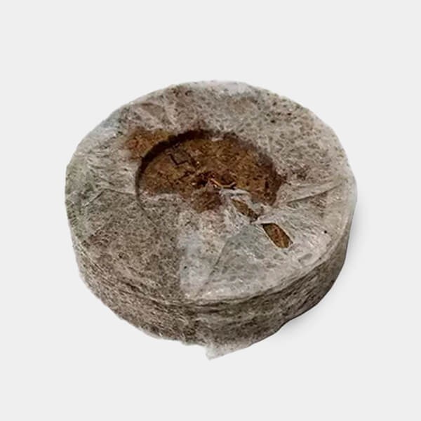 Jiffy7 de Turba 24mm de  en GB Lleida
