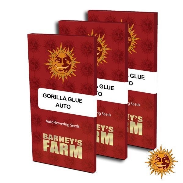 Gorilla Auto de Fast Buds en GB Lleida