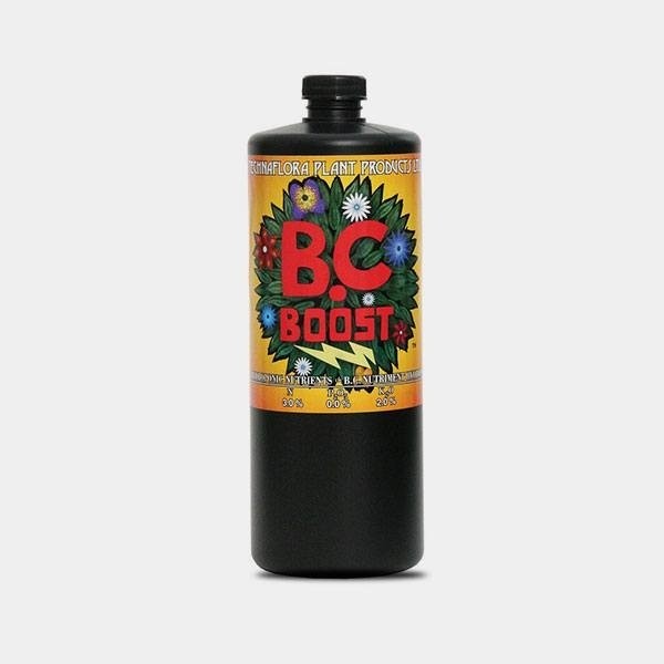 B.C. Boost de  en GB Lleida
