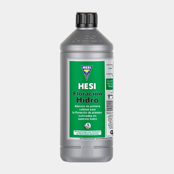 Hidro Floración de Hesi en GB Lleida