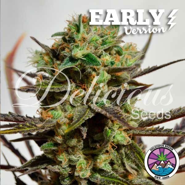 Delicious Candy Early Version de Delicious Seeds en GB Lleida