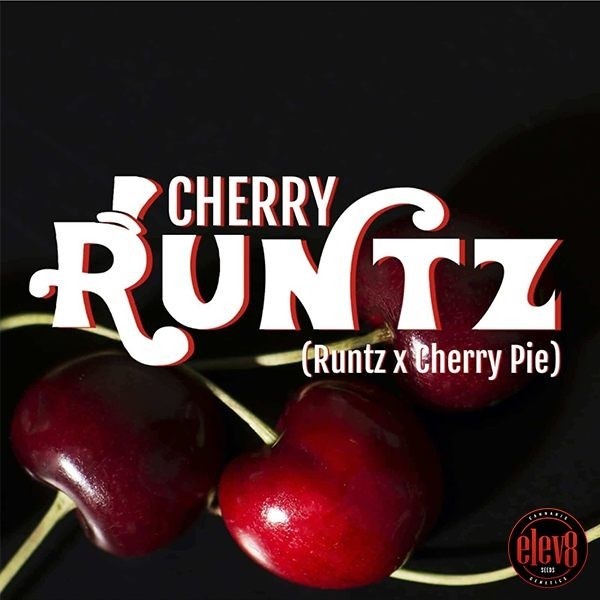 Cherry Runtz de  en GB Lleida