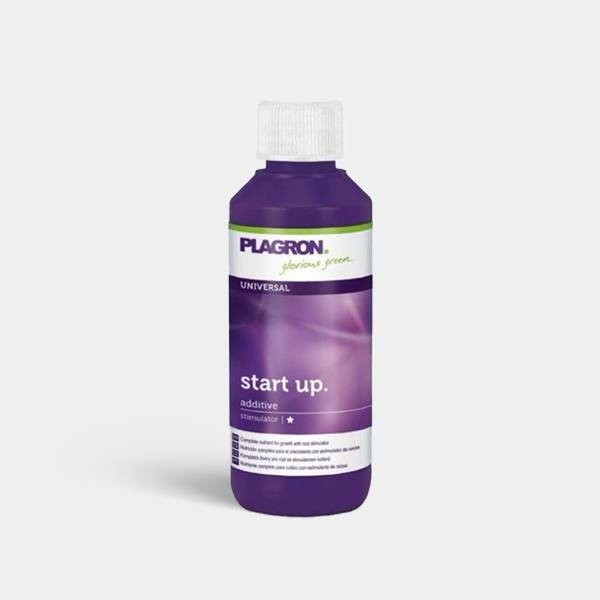 Start Up de Plagron en GB Lleida