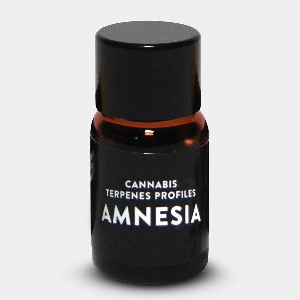 Terpenos Amnesia de  en GB Lleida