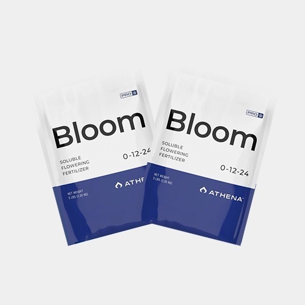 Athena Pro Bloom de Athena en GB Lleida