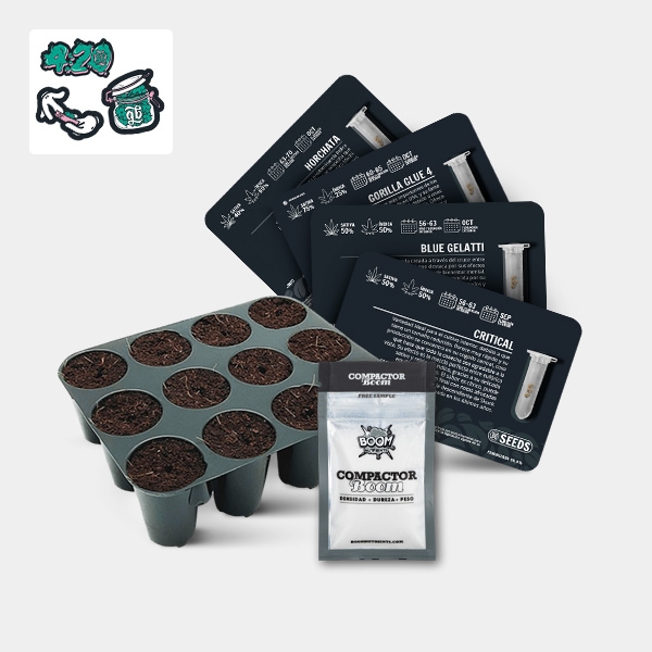 GB Seeds Box de GB Seeds en GB Lleida