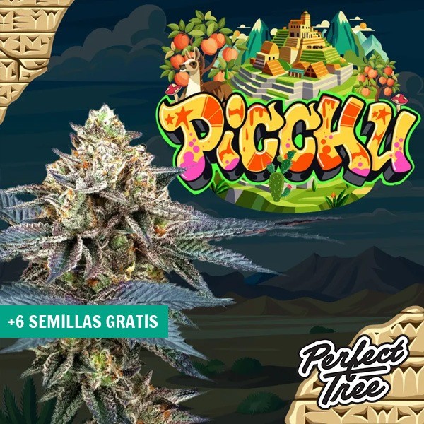 Picchu de Perfect Tree Seeds en GB Lleida