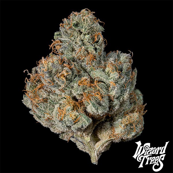 Last Pour de Wizard Trees de  en GB Lleida