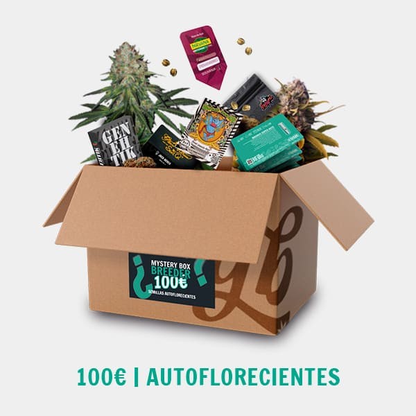 Breeder Mystery Box AUTO de  en GB Lleida
