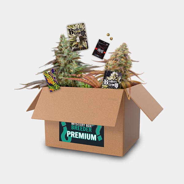 Breeder Box Premium de  en GB Lleida