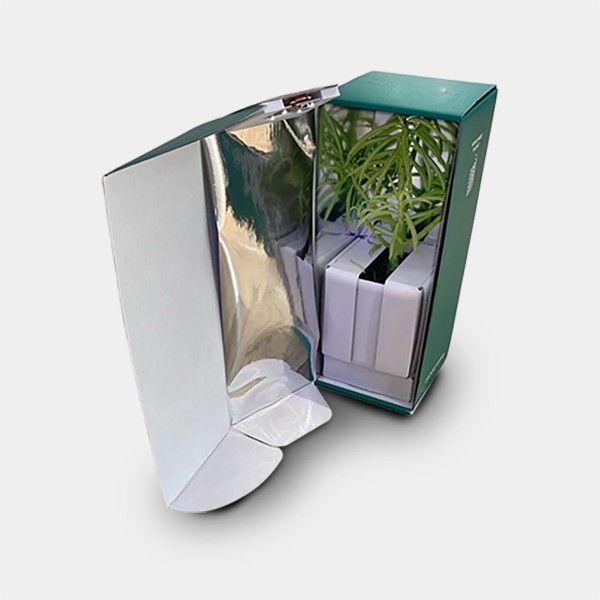 Caja de Transporte para Esquejes de  en GB Lleida