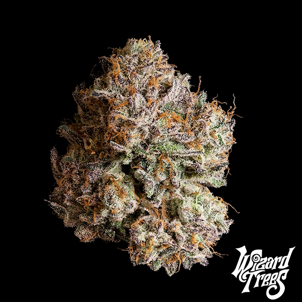 Obsidian de Wizard Trees de  en GB Lleida