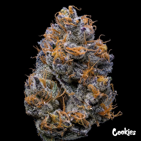 Velvet Cream Cookies Seed Bank de  en GB Lleida