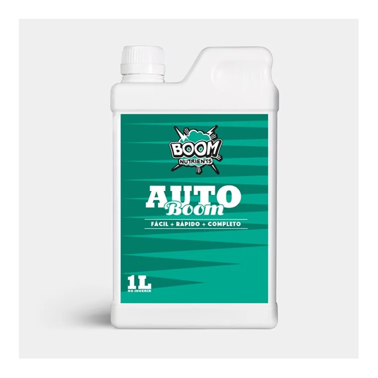 Auto Boom