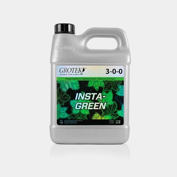 Insta Green de Grotek en GB Lleida