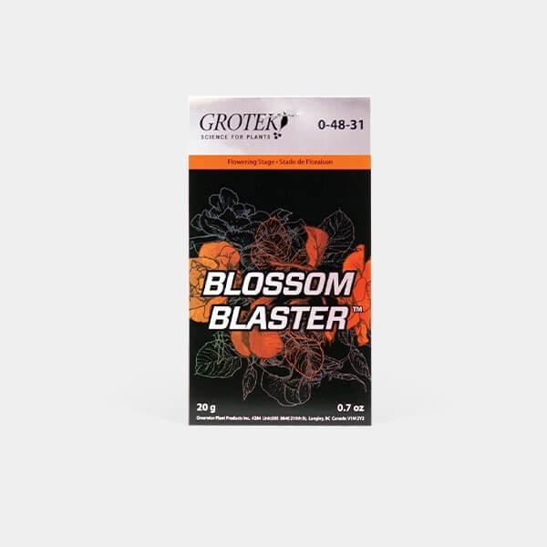 Blossom Blaster de Grotek en GB Lleida