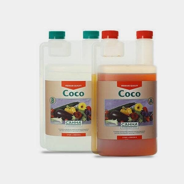 Coco A+B de Canna en GB Lleida