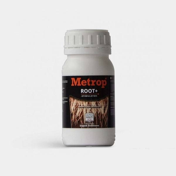 Root+ de Metrop en GB Lleida