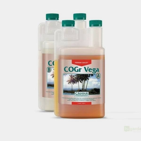COGr Vega A+B coco de Canna en GB Lleida