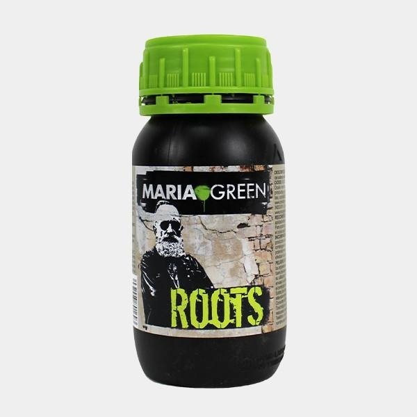 Roots en GB Lleida