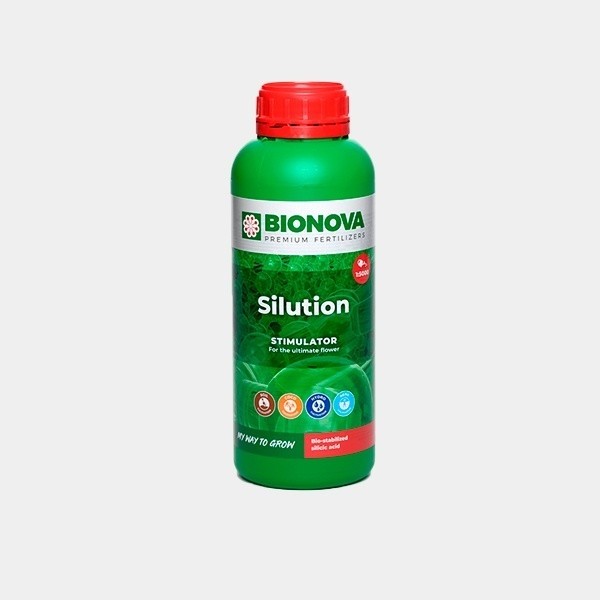 Silution en GB Lleida
