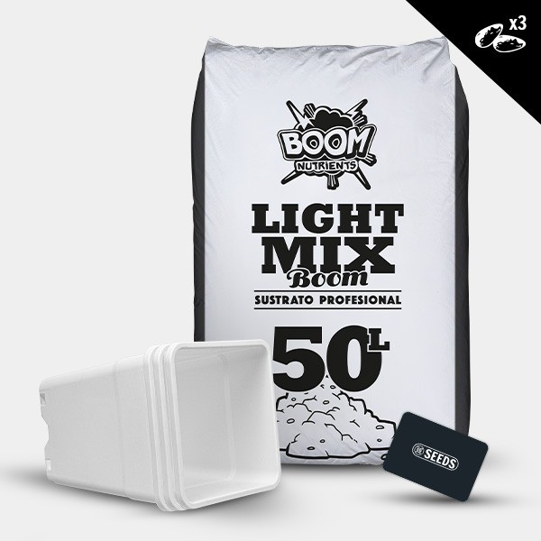 Kit exterior autoflorecientes de GB Seeds en GB Lleida