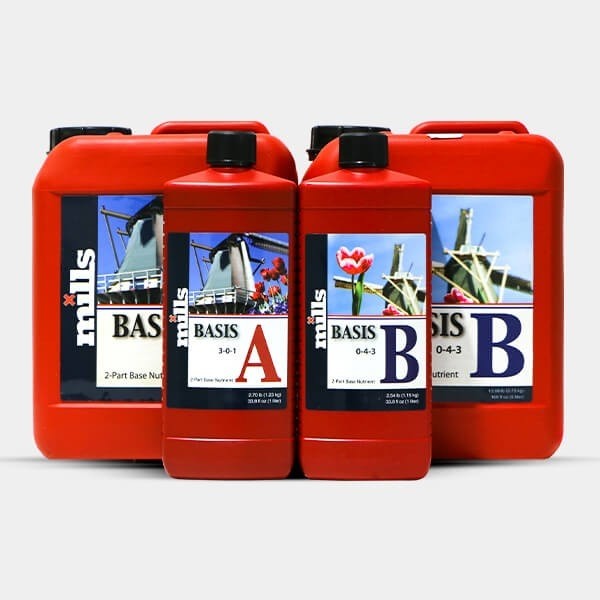 Basis A+B en GB Lleida