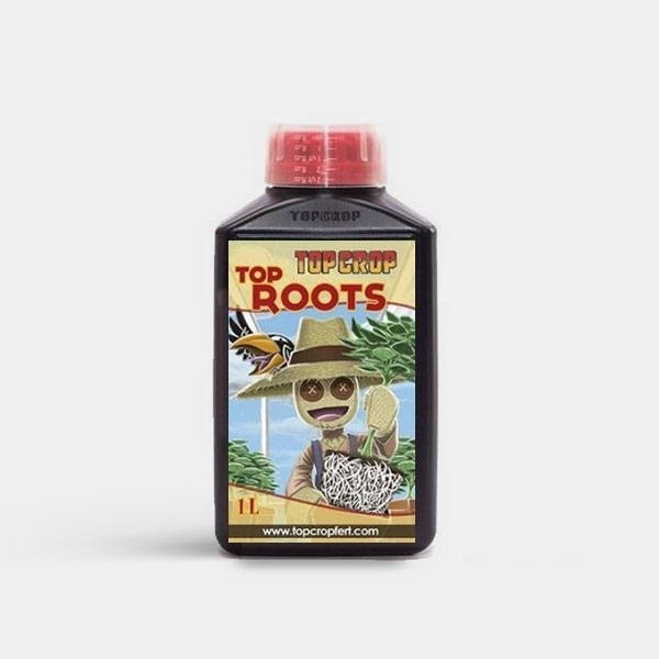 Top Roots de Top Crop en GB Lleida