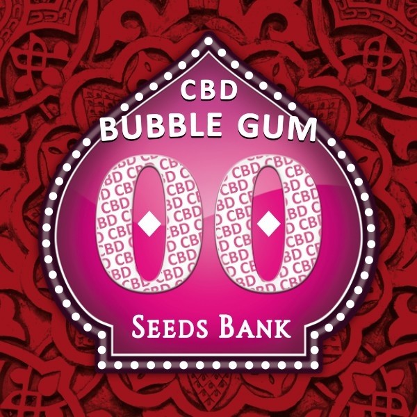 Bubble Gum CBD de 00 Seeds en GB Lleida