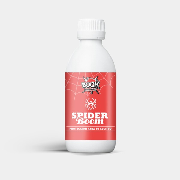 Spider Boom en GB Lleida