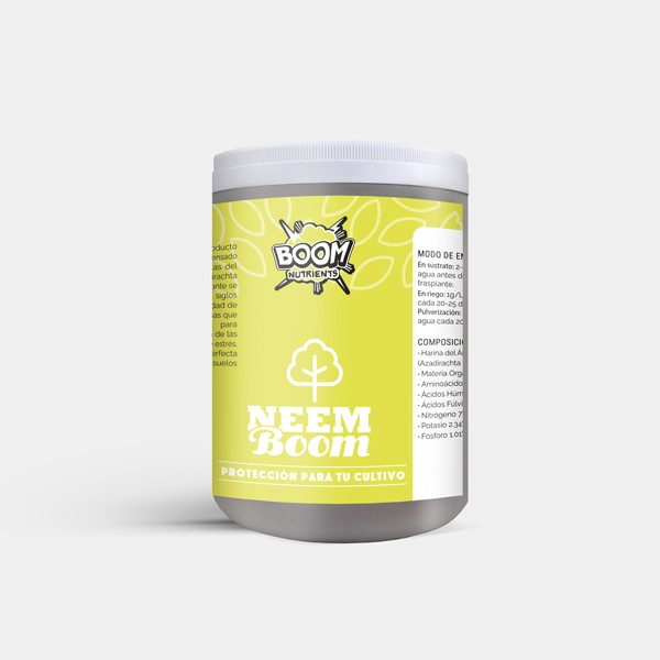 Neem Boom en GB Lleida