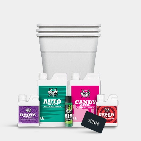 Kit autoflorecientes XXL de GB Seeds en GB Lleida