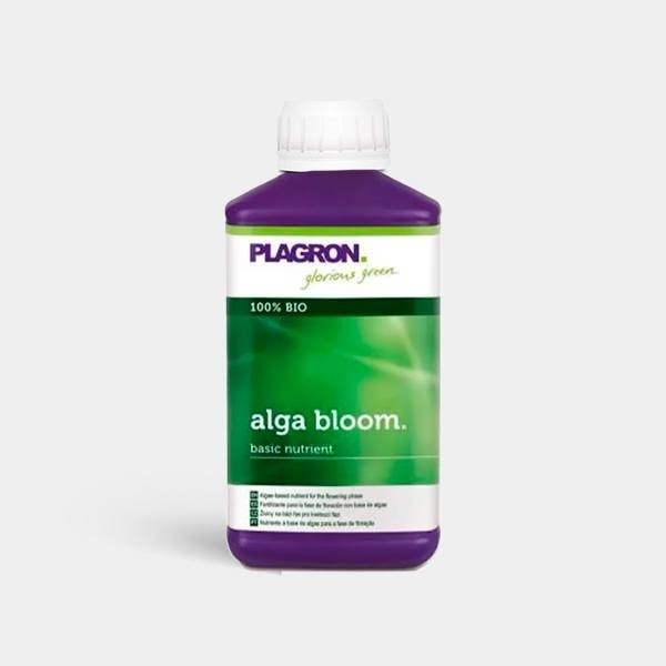 Alga Bloom de Plagron en GB Lleida